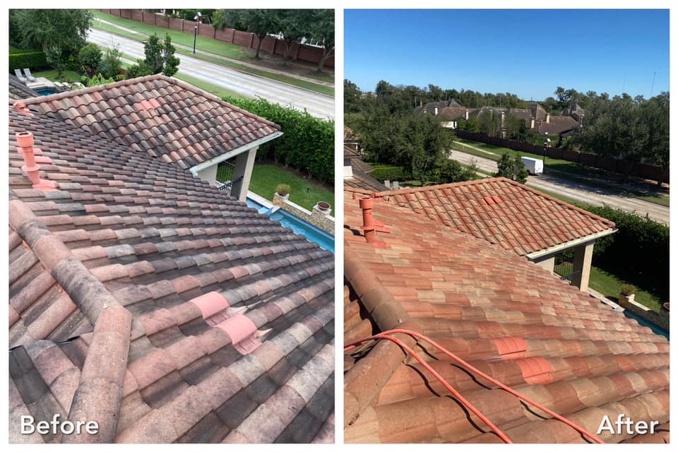 Tile roof - before & after soft wash
